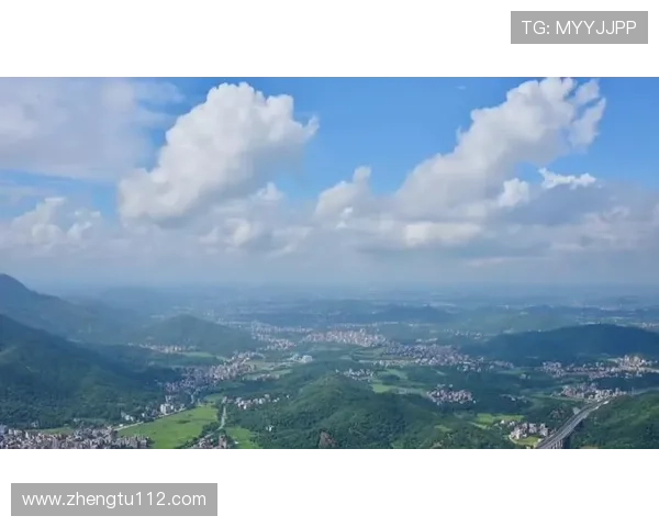 佛山影视台精彩直播不容错过